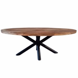 Industriële eettafel ovaal 280x110